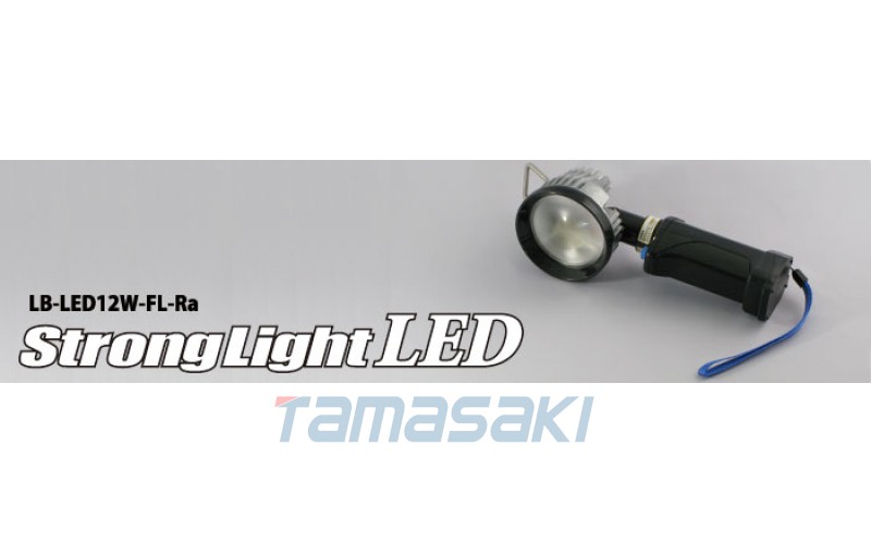 用于目視檢查的大功率 LED 燈 無繩型LB-LED12W-FL-Ra