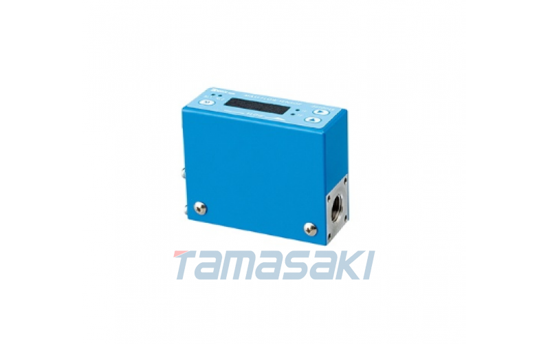 帶顯示器低成本流量計 3810DS2-O-I-RC1/4-AIR-10SCCM-20°C